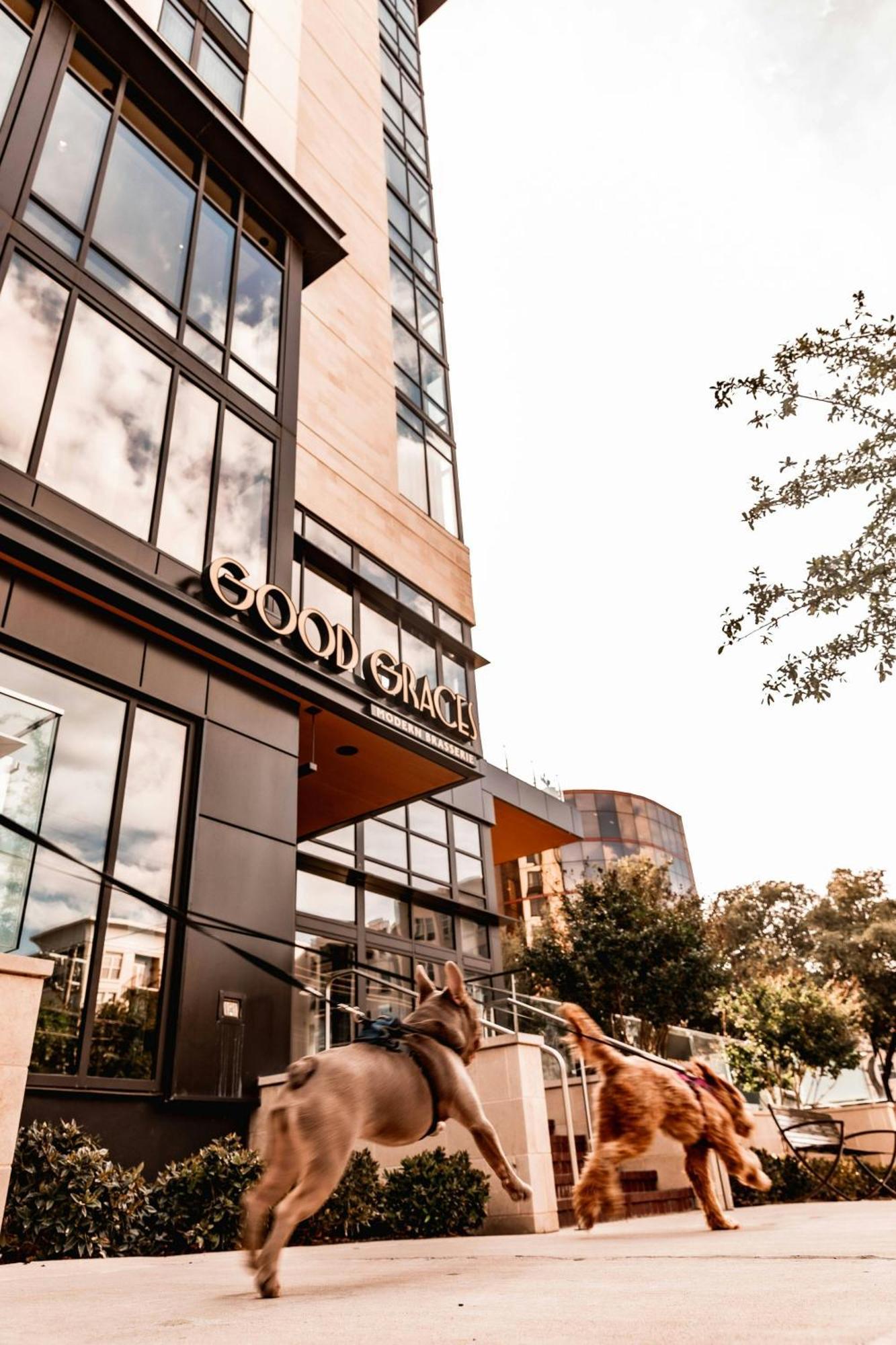 Marriott Dallas Uptown Экстерьер фото